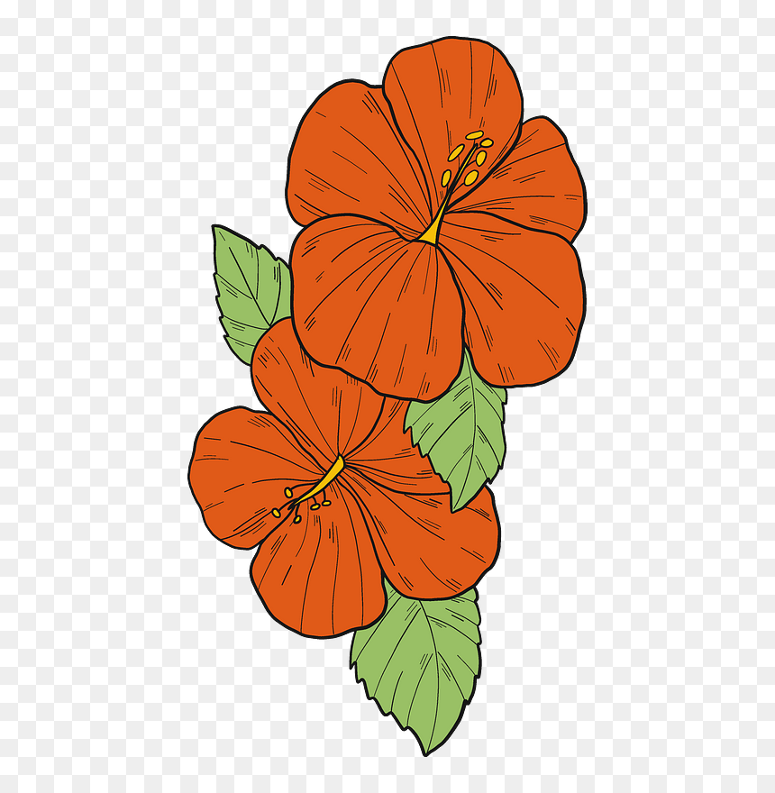 Red Hibiscus Flowers Clipart, HD Png Download - hibiscus clipart png