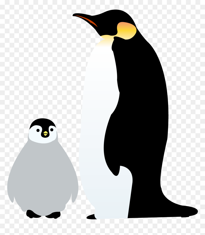 Emperor Penguin Antarctica Illustration Image - Emperor Penguin Chick Clipart, HD Png Download - emperor penguin png