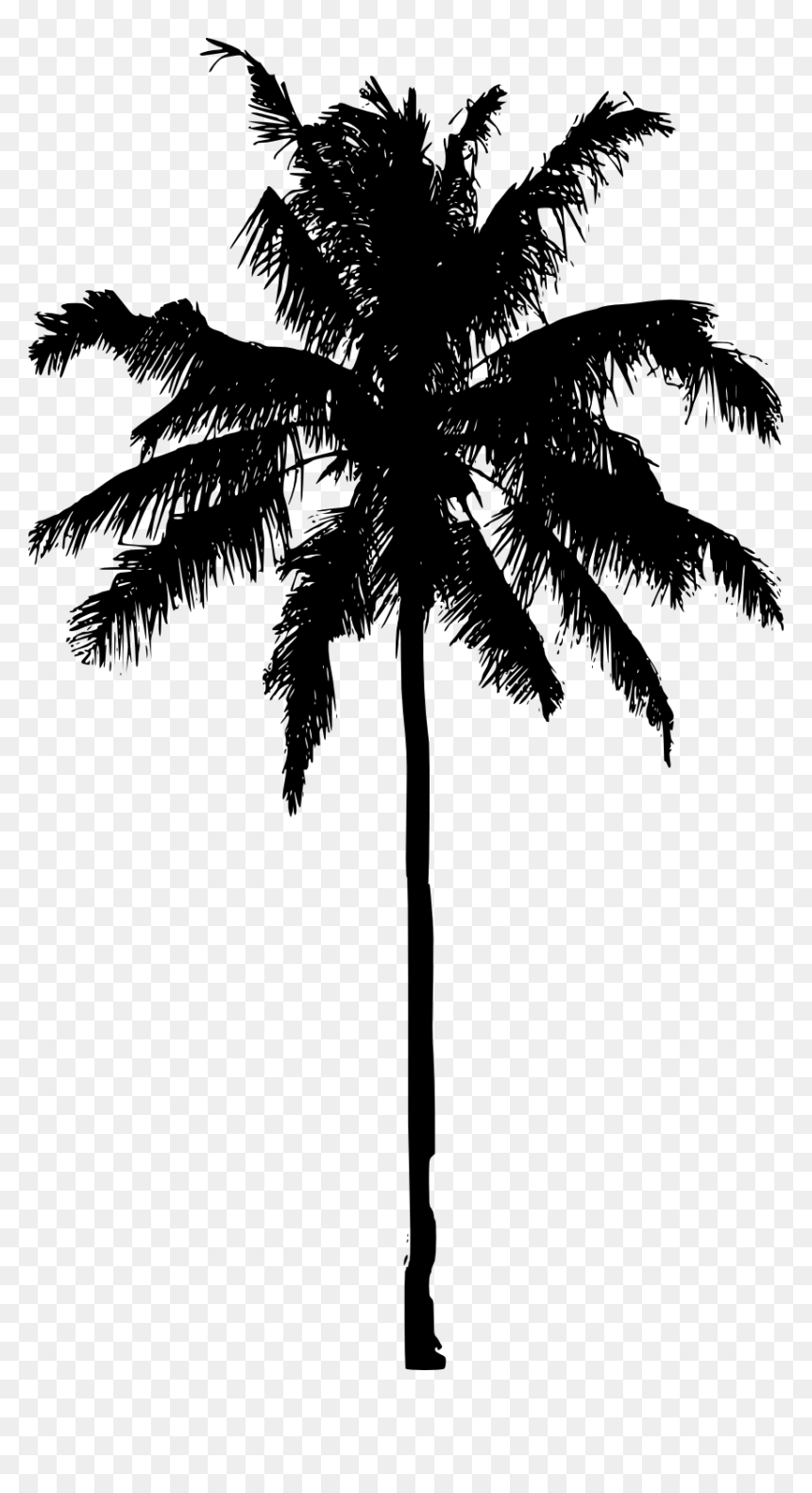 Palm Tree Png Image File - Palm Tree Silhouette Png, Transparent Png - white palm tree png