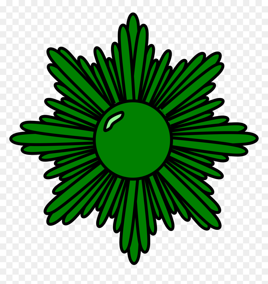 Green Starburst Clip Arts - Ribbon Awards For Girl Scout, HD Png Download - starburst.png