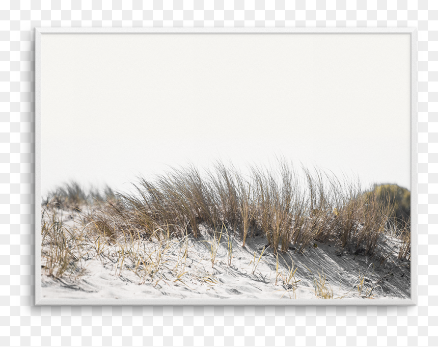 Drawing Beach Dune - Dune, HD Png Download - sand dunes png
