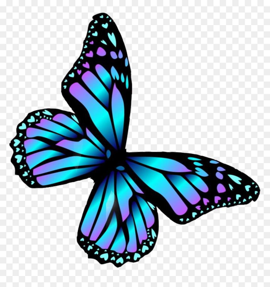 Transparent Butterfly Cartoon , Png Download, Png Download - borboleta png