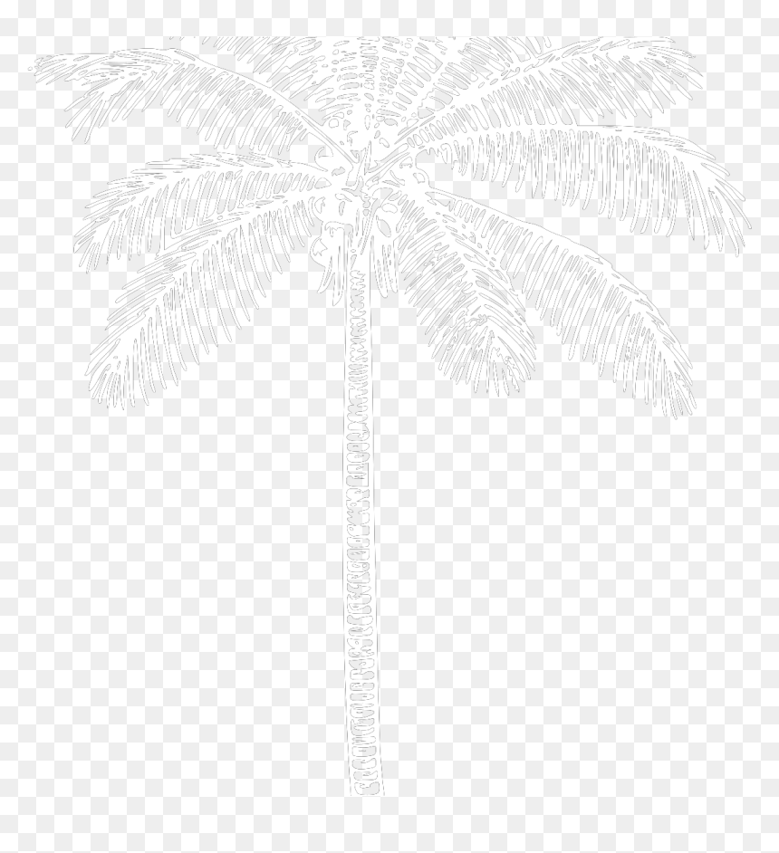 Tree, HD Png Download - white palm tree png