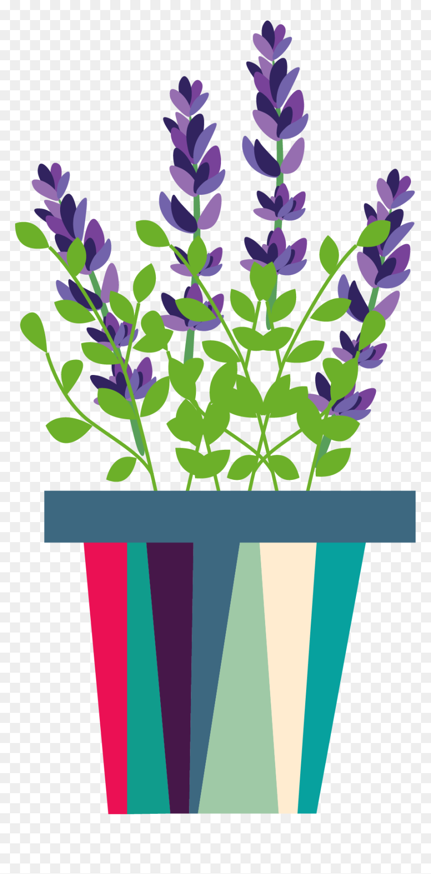 Lupin, HD Png Download - lavender plant png