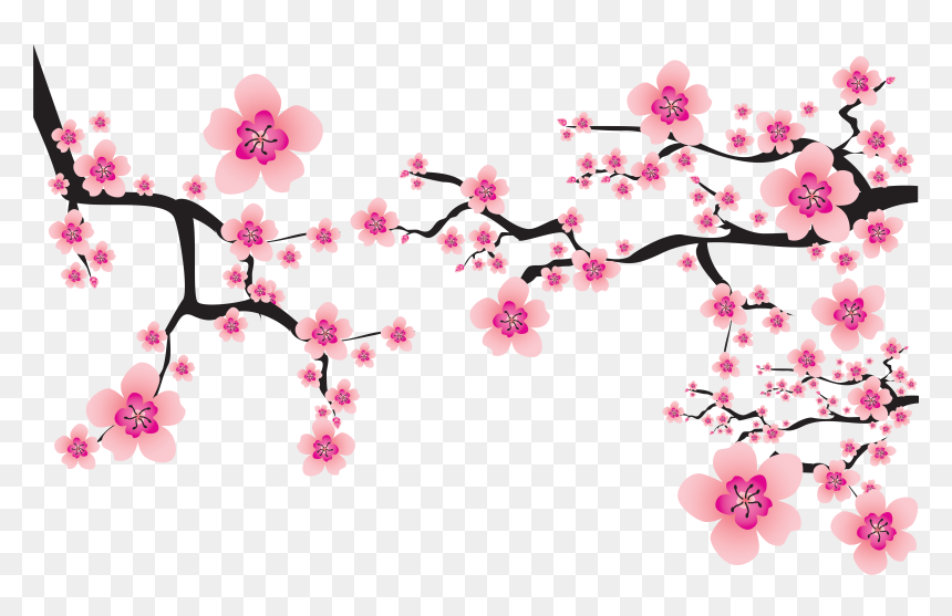 Sakura Png, Transparent Png - bunga png