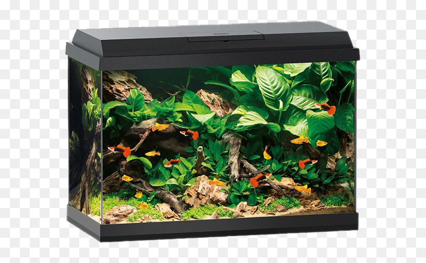 Aquarium Fish Tank Png Hd Image - Juwel 60 Primo, Transparent Png - aquarium png