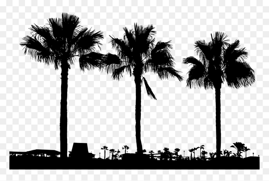 Hur Ser Spanien Ut, HD Png Download - white palm tree png