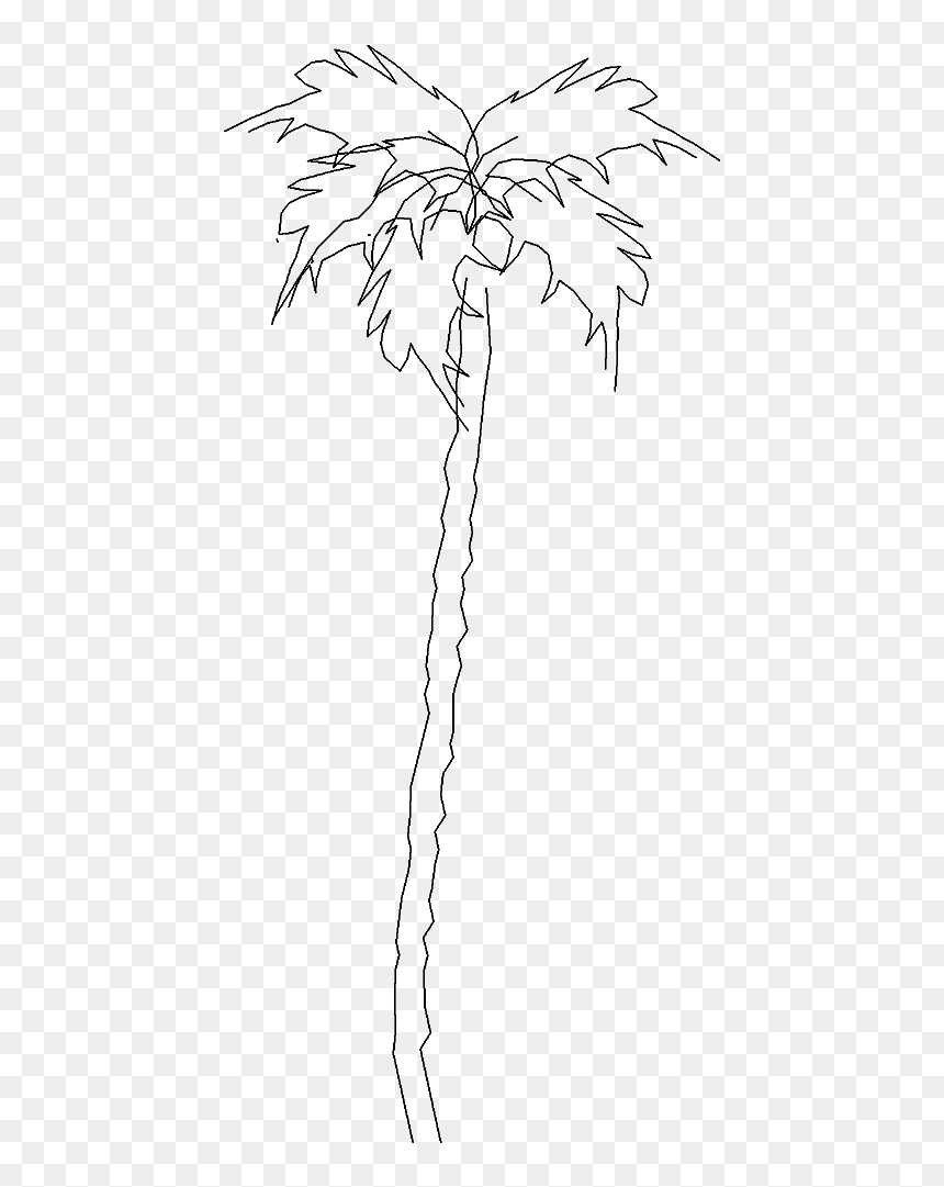 Tree 5723d View"
 Class="mw 100 Mh 100 Pol Align Vertical - Line Art, HD Png Download - white palm tree png