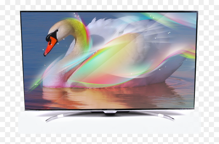 Swan Beautiful, HD Png Download - televisor png