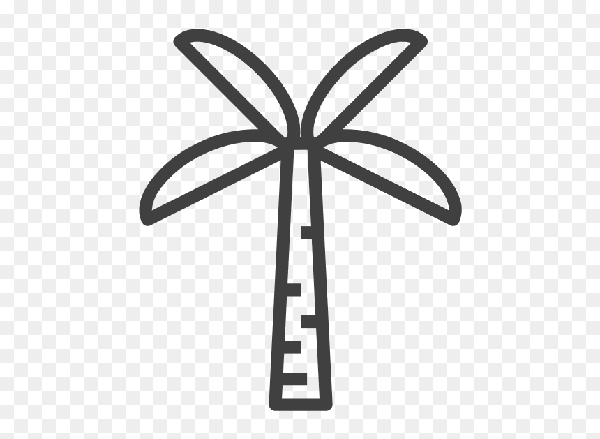 Palmtree - Hawaii, HD Png Download - white palm tree png