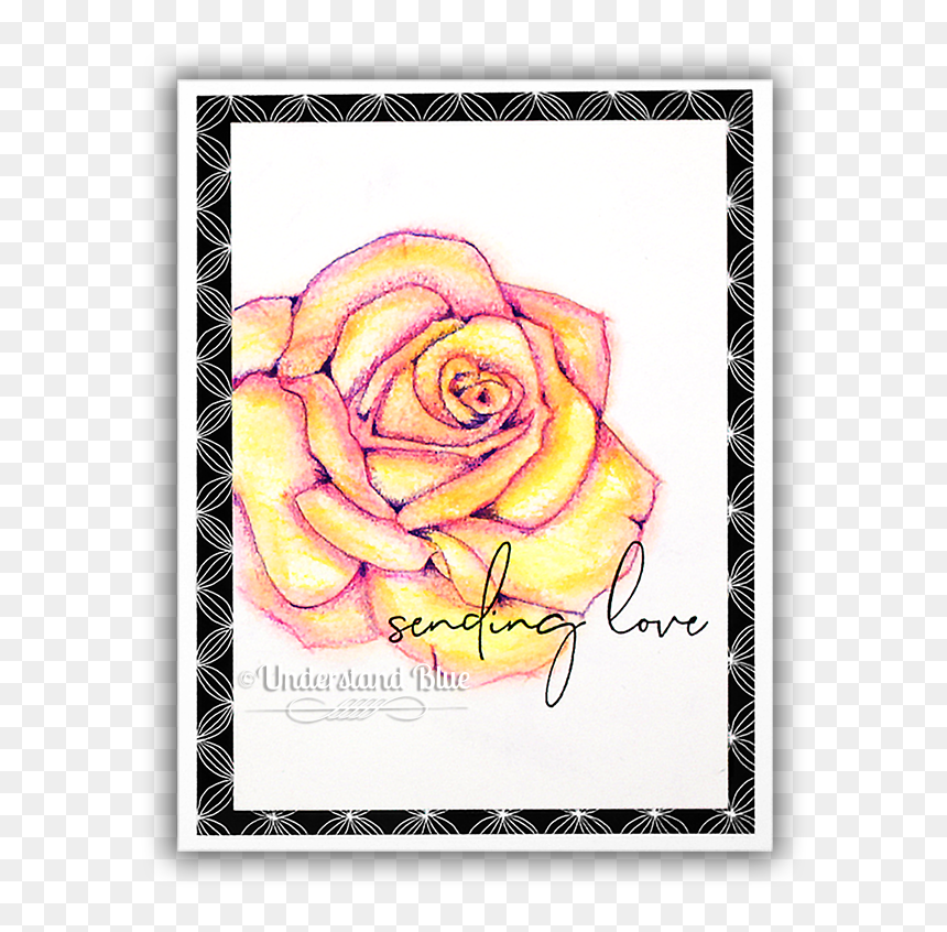 Lazy Watercolor Effect Concord & 9th Rose By Understand - Floribunda, HD Png Download - watercolor roses png