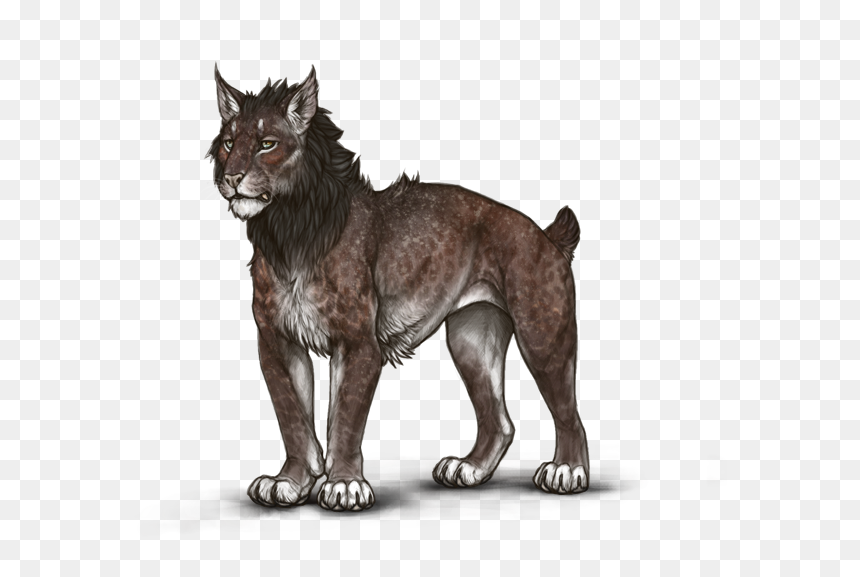 Ckaymun - Lion, HD Png Download - lion paw png