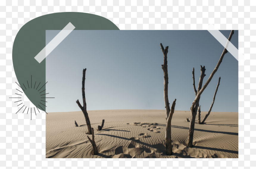 Img 8824 - Erg, HD Png Download - sand dunes png