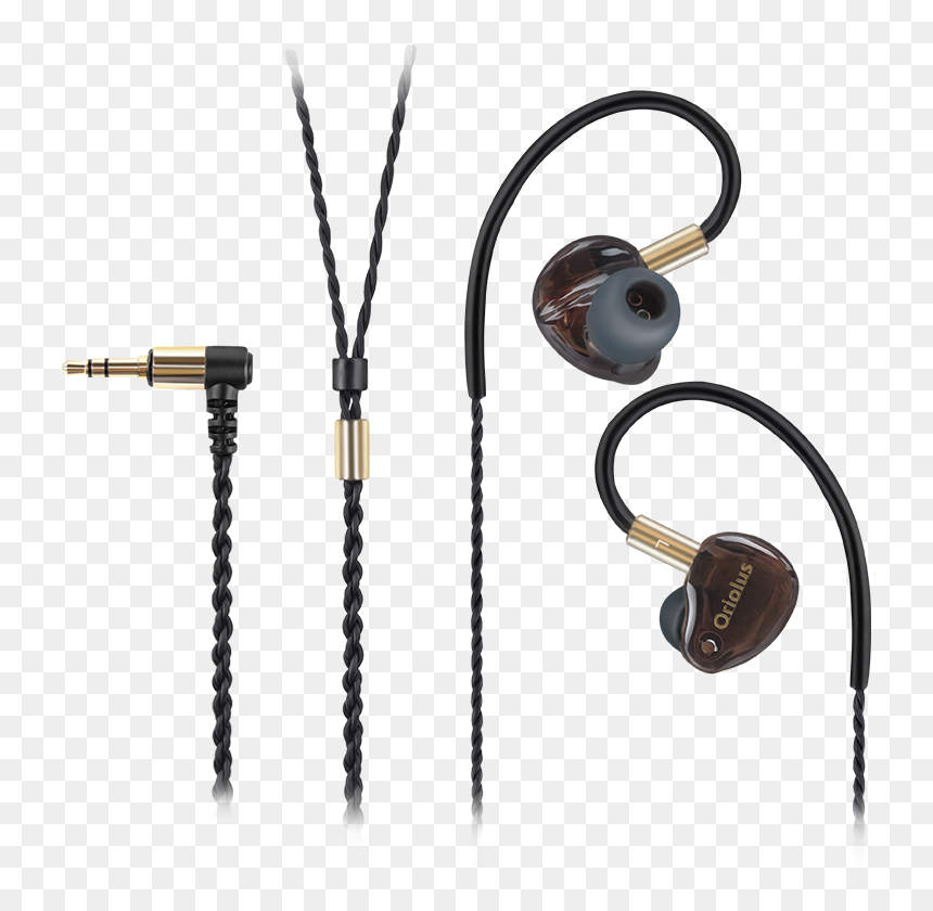 Oriolus Finschi, HD Png Download - earphones png