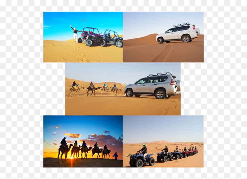 Morocco Desert Tours - Erg, HD Png Download - sand dunes png