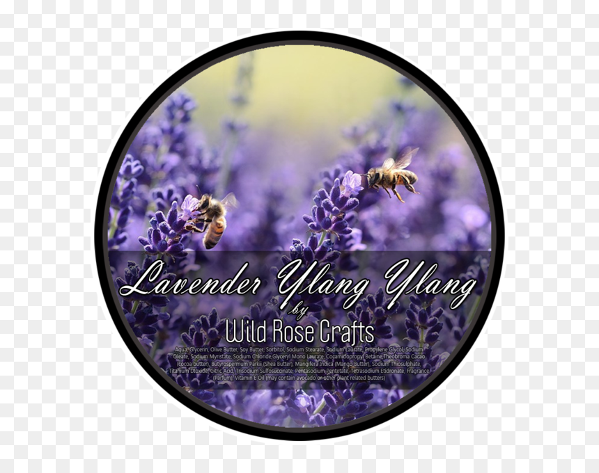 Bee On Lavender Flower , Png Download - Byliny Miododajne, Transparent Png - lavender plant png