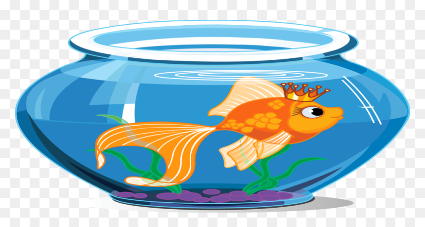 Tap Fish Aquarium - Fish Inside The Aquarium, HD Png Download - aquarium png