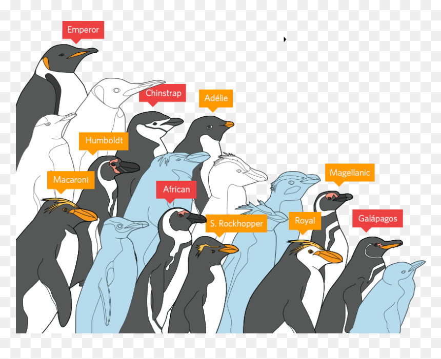 Emperor Penguin Threats , Png Download - Penguins Affected By Pollution, Transparent Png - emperor penguin png