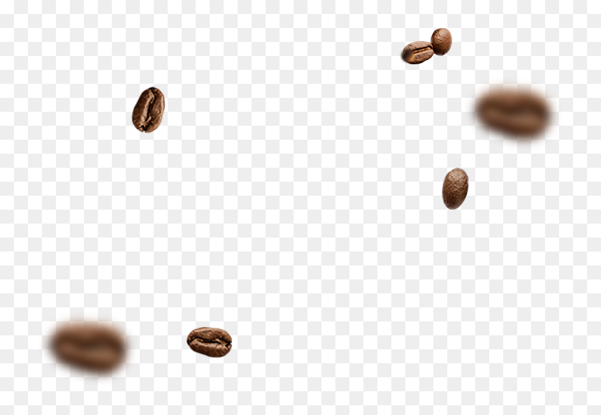 Seed, HD Png Download - granos de cafe png