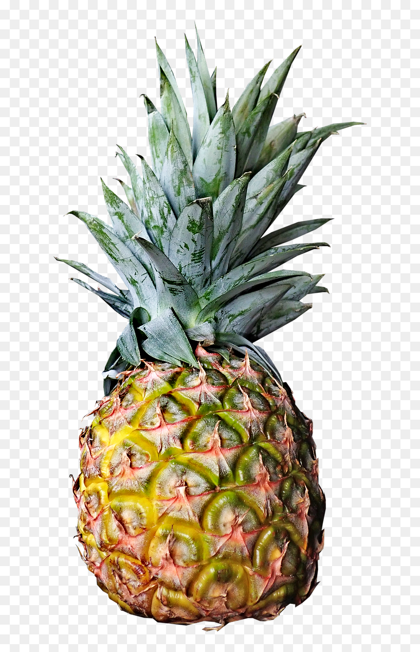 Pineapple Fresh Fruit Free Photo - Pineapples Png, Transparent Png - pineapple slice png