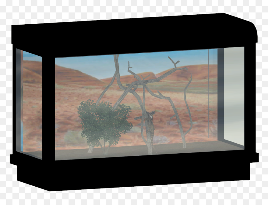 Frilled Lizard Tank - Aquarium, HD Png Download - aquarium png