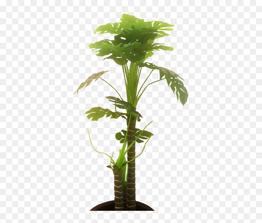 Houseplant, HD Png Download - green tree png