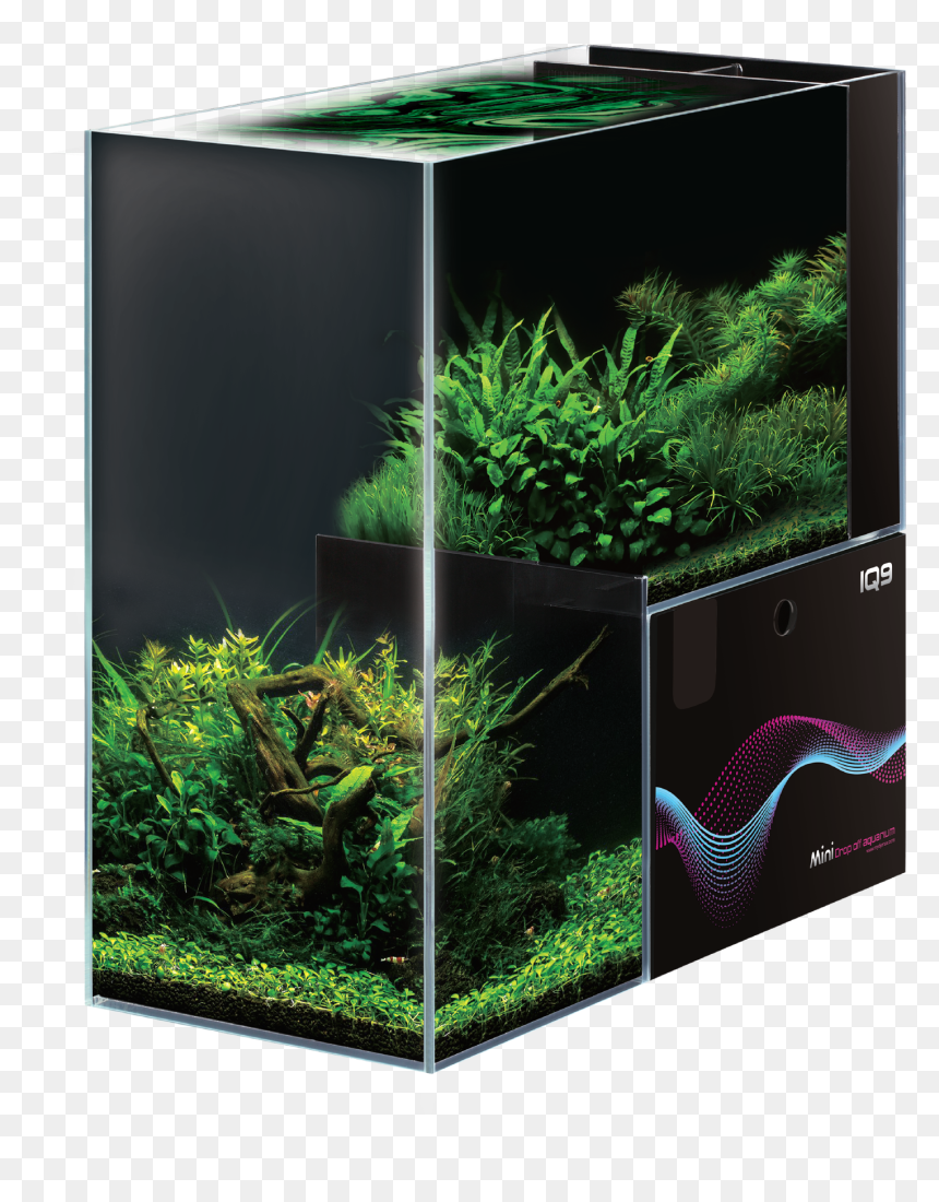 Dymax Iq9, HD Png Download - aquarium png