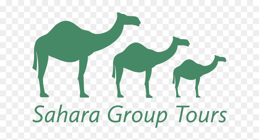 Sahara Group Tours - Arabian Camel, HD Png Download - sand dunes png