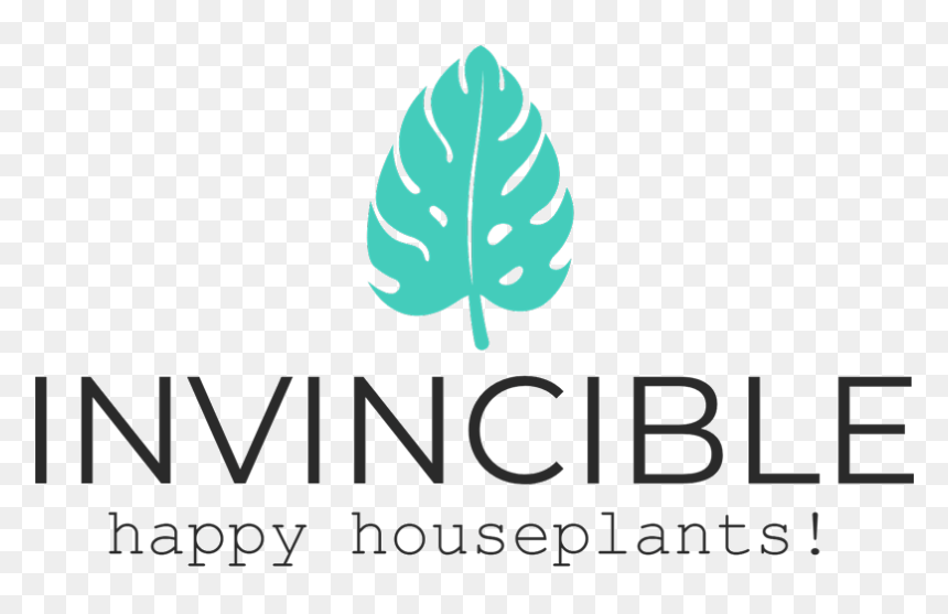 Graphic Design, HD Png Download - fig leaf png