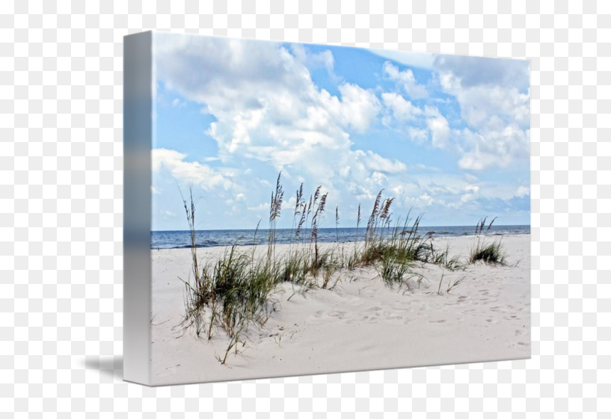 Sand, HD Png Download - sand dunes png