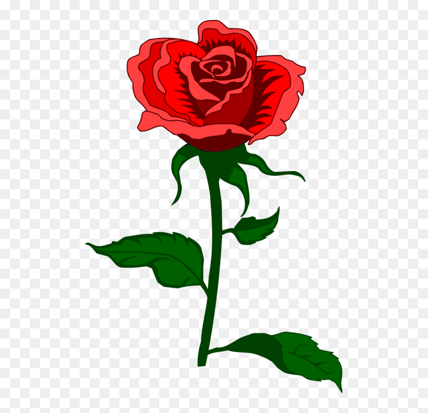 All Photo Png Clipart - Mothers Day Roses Clipart, Transparent Png - bunga png