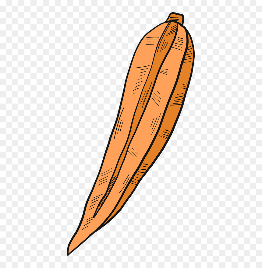 Carrot Cut In Half Clipart - Illustration, HD Png Download - cut line png