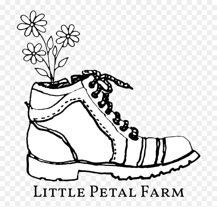 Try1 - Line Art, HD Png Download - petal png