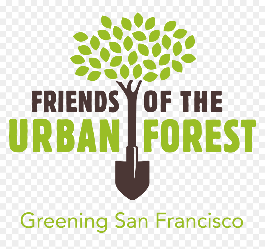 Thumb Image - Tree, HD Png Download - the forest logo png