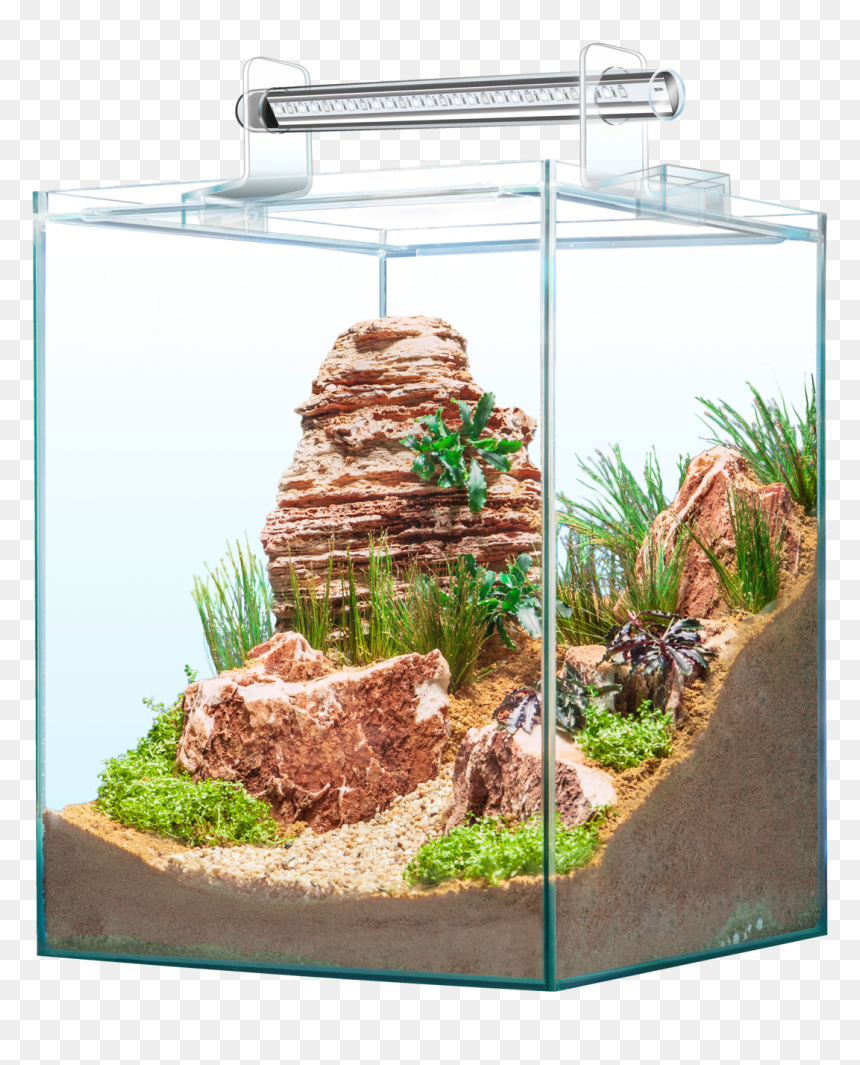 Sera Scaper Cube, HD Png Download - aquarium png