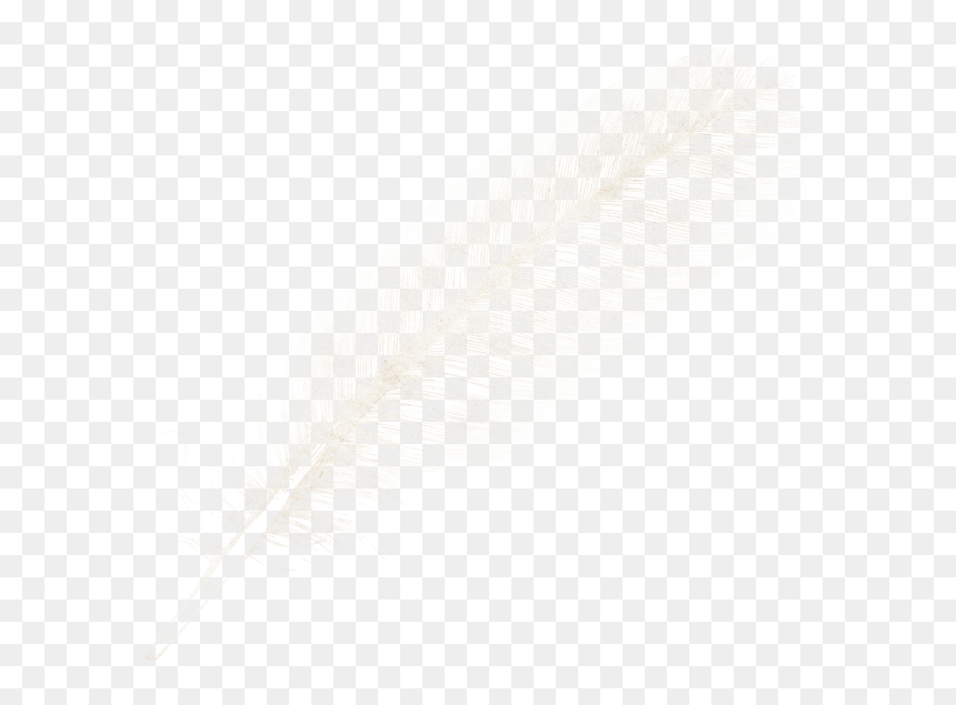 Feather Clipart Image Download, HD Png Download - feather clipart png