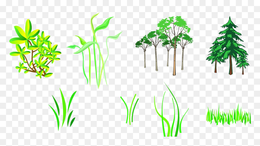 Branch Tree Silhouette - Computer Monitor, HD Png Download - green tree png