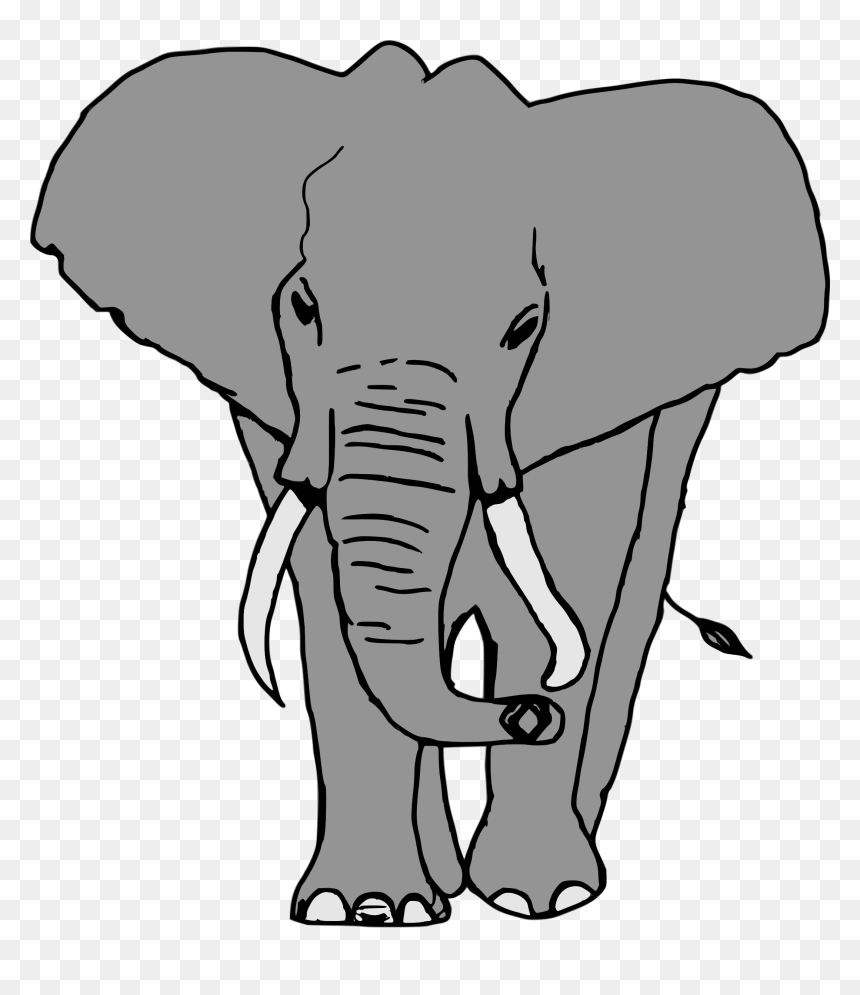 Elefante Clip Arts, HD Png Download - elefante png