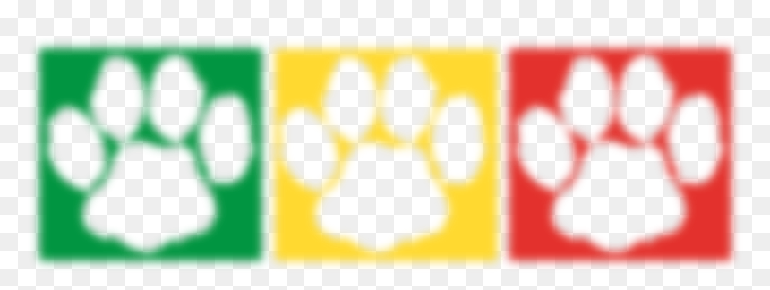 Circle, HD Png Download - lion paw png