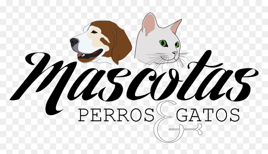Mascotas, Perros & Gatos - Domestic Short-haired Cat, HD Png Download - gatos png
