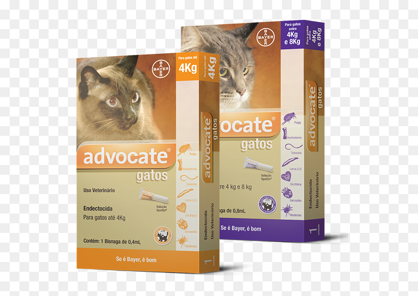 Advocate® Gatos - Tratamento Sarna Em Gatos, HD Png Download - gatos png