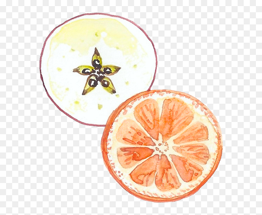 Picture - Bitter Orange, HD Png Download - eraser shavings png