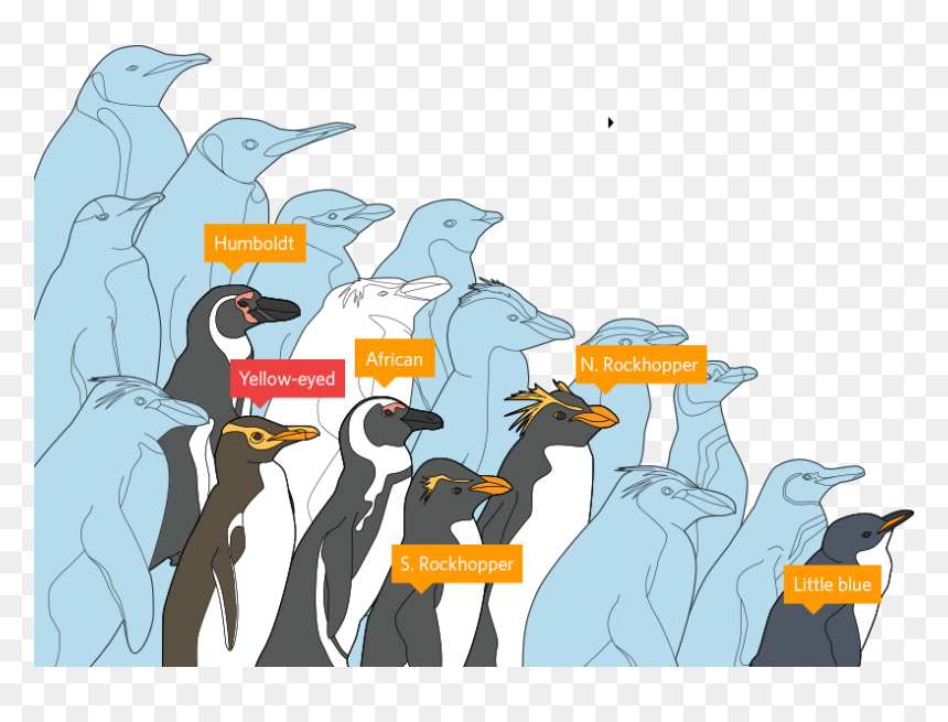 Transparent Rockhopper Penguin Clipart - Penguins Affected By Pollution, HD Png Download - emperor penguin png