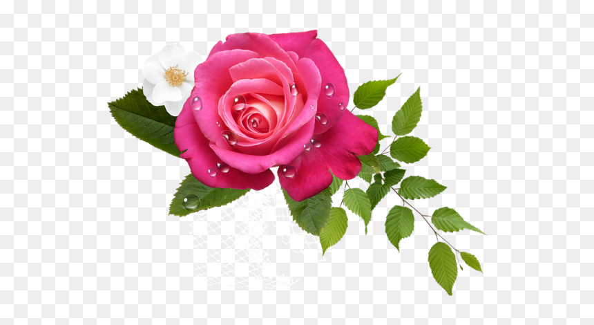 Thinking Of You Get Well Soon, HD Png Download - flores vector png
