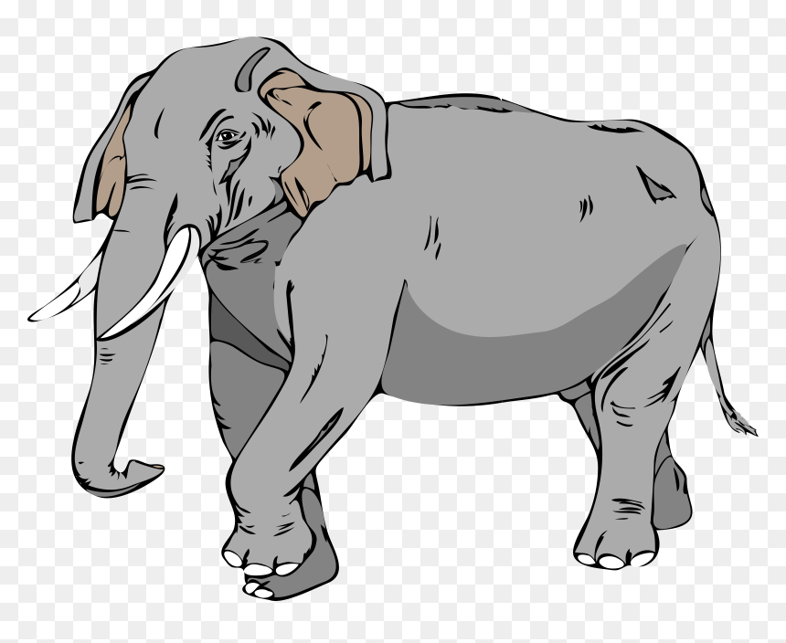 Transparent Elefante Png - Elephant Clip Art, Png Download - elefante png