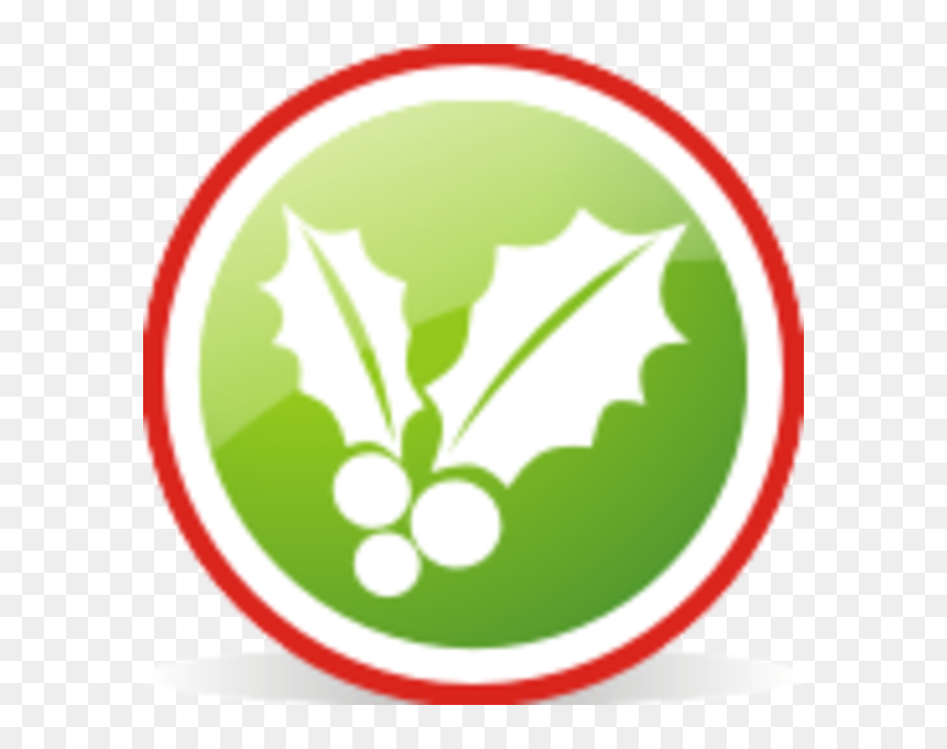 Christmas Mistletoe, HD Png Download - christmas mistletoe png