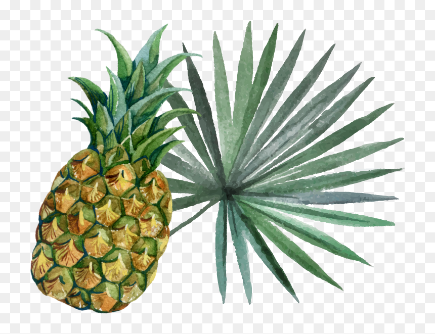 Pineapple With Leaf - Pineapple, HD Png Download - pineapple slice png