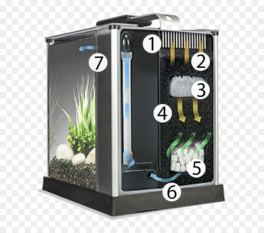 Do Bettas Need A Filter Diagram - Built In Filter Fish Tank, HD Png Download - aquarium png