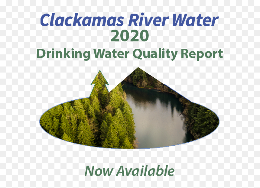 Drinking, HD Png Download - water reflection png