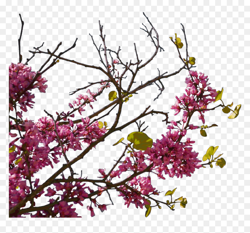 Plants Sidebar Png, Transparent Png - bunga png